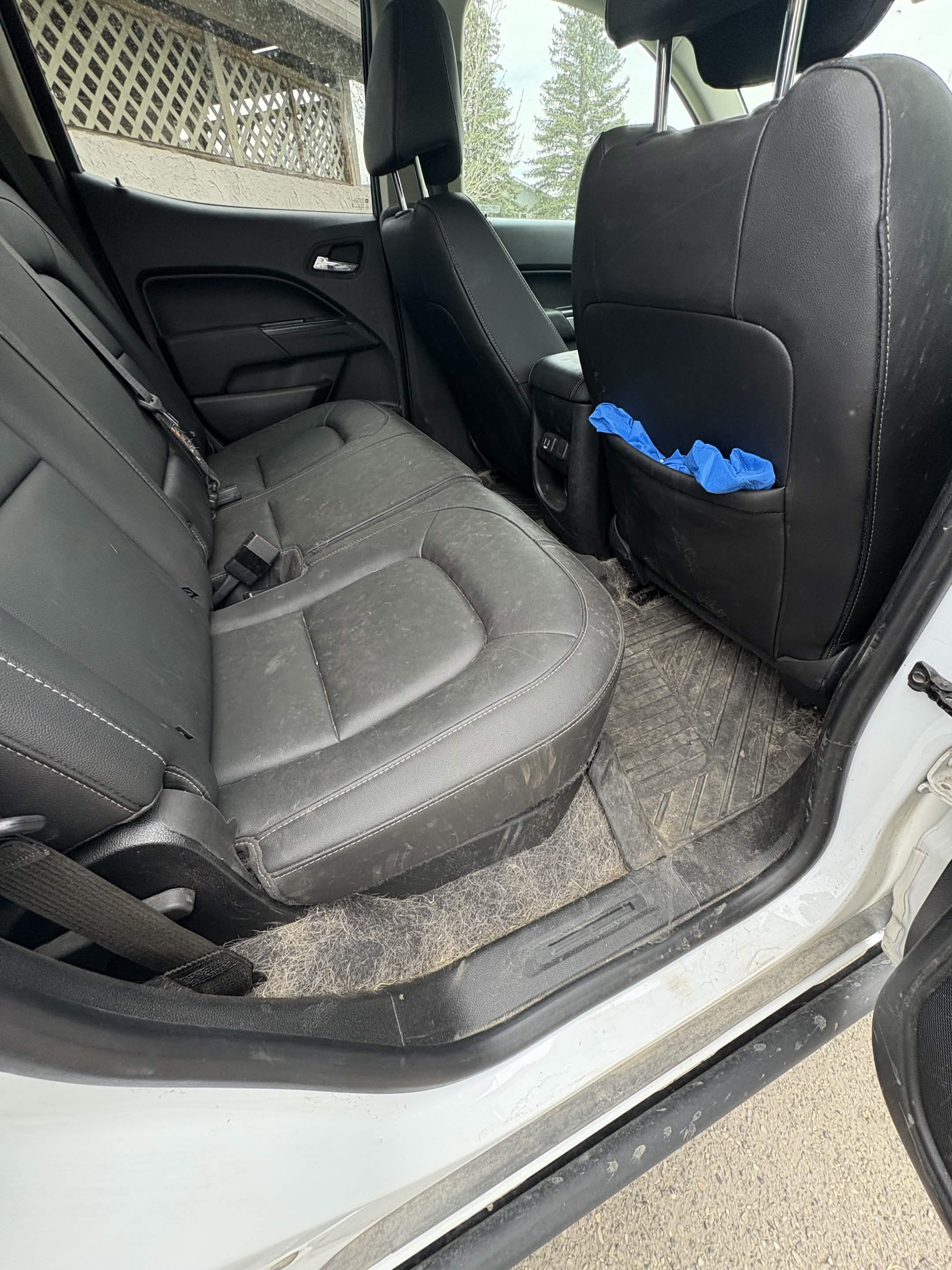 Truck back seat and floor covered in dog hair before detailing