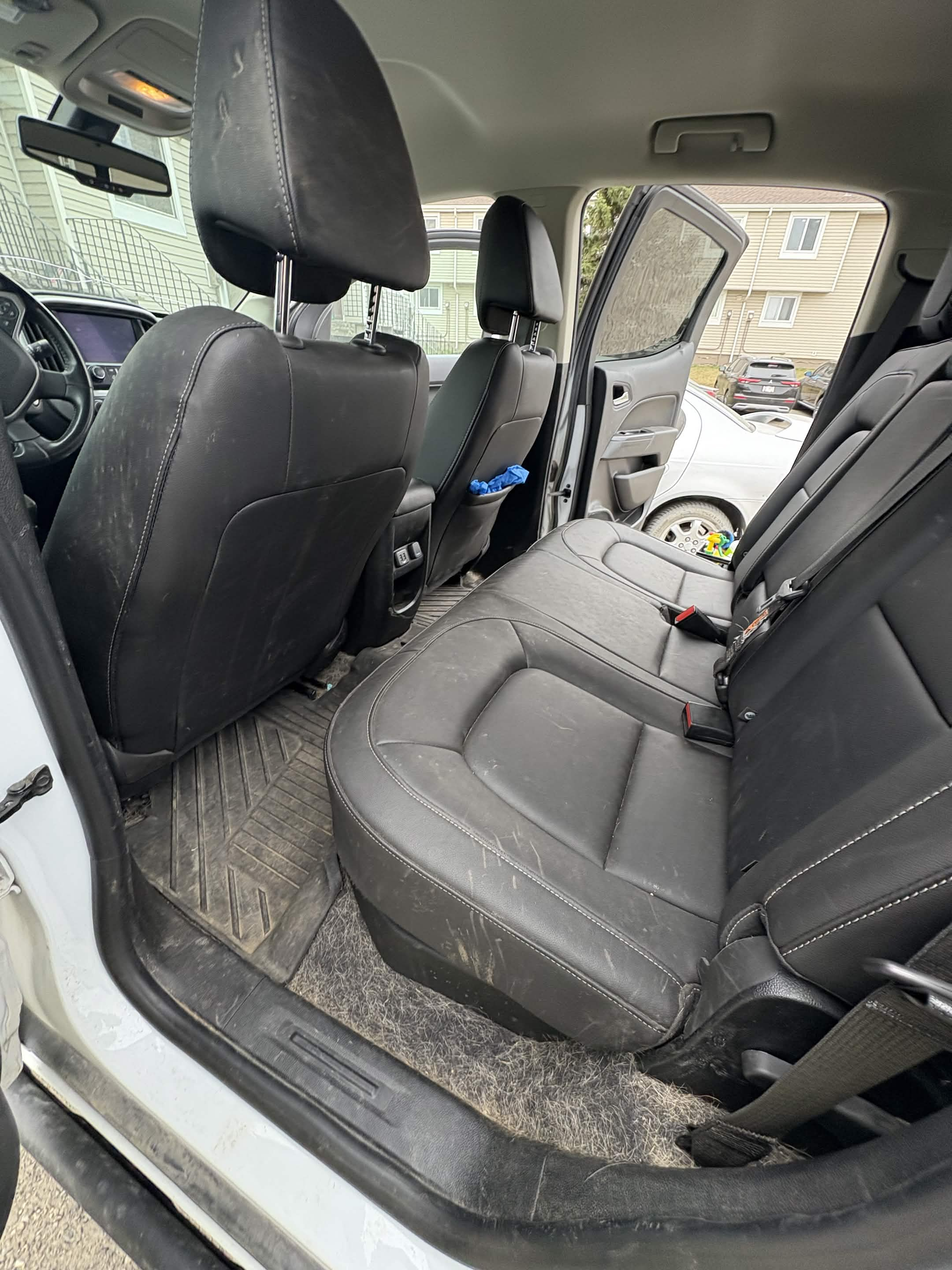 Vehicle seats and carpet full of pet hair before detailing